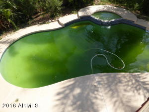 4559 E Betty Elyse Ln, Phoenix, AZ 85032 photo 3