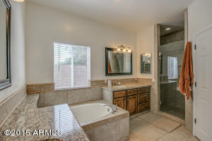 11215 E Roscoe Ave, Mesa, AZ 85212 photo 19