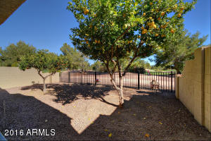 3232 E Maldonado Dr, Phoenix, AZ 85042 photo 21