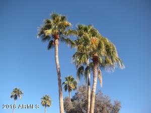 4524 E San Gabriel Ave, Phoenix, AZ 85044 photo 18