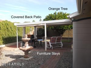 8316 E Lakeview Ave, Mesa, AZ 85209 photo 17
