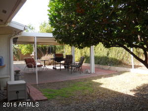 8316 E Lakeview Ave, Mesa, AZ 85209 photo 18