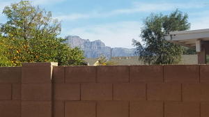 966 W Mesquite Ave, Apache Junction, AZ 85120 photo 18
