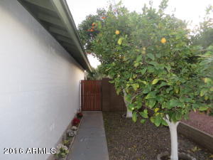 1885 E Magdalena Dr, Tempe, AZ 85283 photo 9