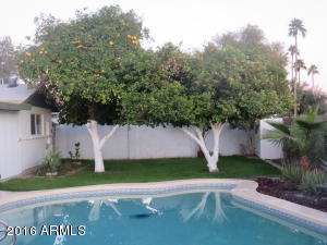 1885 E Magdalena Dr, Tempe, AZ 85283 photo 16