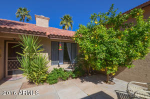 260 E Pinon Way, Gilbert, AZ 85234 photo 5