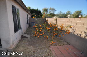 1732 E Beautiful Ln, Phoenix, AZ 85042 photo 20
