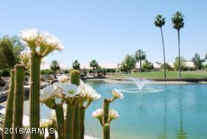 8202 Ebola Ave, Mesa, AZ 85208 photo 41