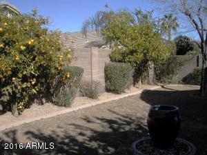 3038 E Captain Dreyfus Ave, Phoenix, AZ 85032 photo 5
