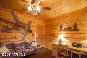 309 E See Canyon Dr, Payson, AZ 85541 photo 37