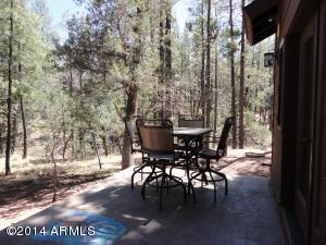 309 E See Canyon Dr, Payson, AZ 85541 photo 46