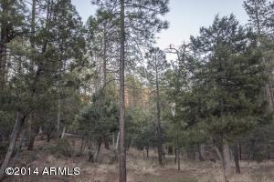 309 E See Canyon Dr, Payson, AZ 85541 photo 55