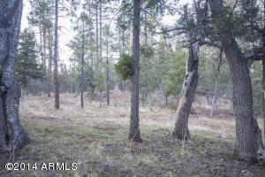 309 E See Canyon Dr, Payson, AZ 85541 photo 57