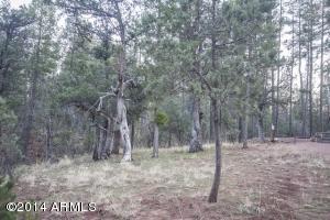 309 E See Canyon Dr, Payson, AZ 85541 photo 56