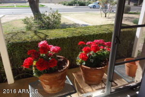 1844 E Osborn Rd, Phoenix, AZ 85016 photo 5