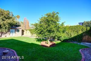 2530 E Cinnabar Ave, Phoenix, AZ 85028 photo 25