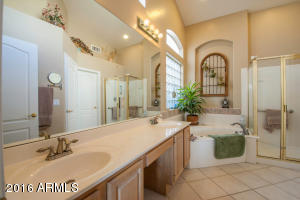 4725 E Robin Ln, Phoenix, AZ 85050 photo 29