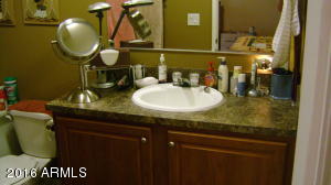 1423 E 23rd Ave, Apache Junction, AZ 85119 photo 13