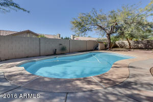 17 E Mountain Sky Ave, Phoenix, AZ 85048 photo 43
