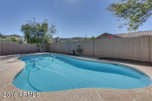 17 E Mountain Sky Ave, Phoenix, AZ 85048 photo 41