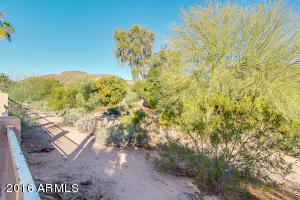 3424 E Squawbush Pl, Phoenix, AZ 85044 photo 55