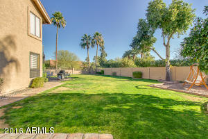 3424 E Squawbush Pl, Phoenix, AZ 85044 photo 59
