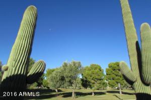 3601 E Bloomfield Rd, Phoenix, AZ 85032 photo 37