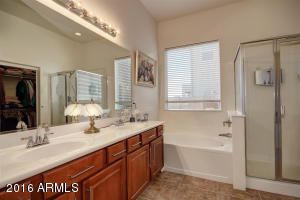 10412 E Aster Ln, Florence, AZ 85132 photo 8