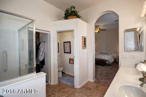 10412 E Aster Ln, Florence, AZ 85132 photo 9