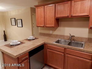 5219 E Tunder Cir, Phoenix, AZ 85044 photo 13