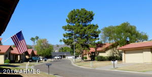 5219 E Tunder Cir, Phoenix, AZ 85044 photo 31