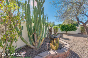 6059 E Gary St, Mesa, AZ 85205 photo 26