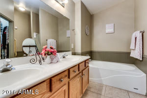 8636 E Nido Ave, Mesa, AZ 85209 photo 12