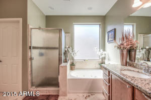 1552 E Lark St, Gilbert, AZ 85297 photo 19