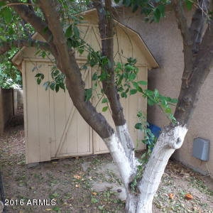 1843 E Hope St, Mesa, AZ 85203 photo 45