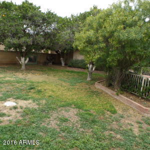 1843 E Hope St, Mesa, AZ 85203 photo 44