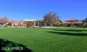 3409 E Vernon St, Gilbert, AZ 85298 photo 56