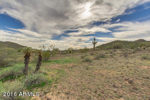 1742 W Cloud Rd, Phoenix, AZ 85086 photo 67
