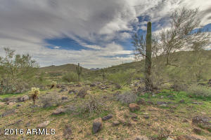 1742 W Cloud Rd, Phoenix, AZ 85086 photo 69