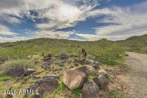 1742 W Cloud Rd, Phoenix, AZ 85086 photo 68