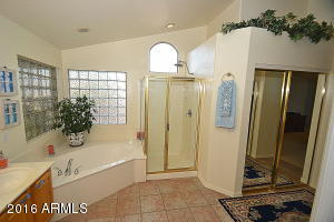 2992 E Millbrae Ln, Gilbert, AZ 85234 photo 44