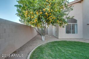 2992 E Millbrae Ln, Gilbert, AZ 85234 photo 61