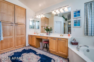 2992 E Millbrae Ln, Gilbert, AZ 85234 photo 43