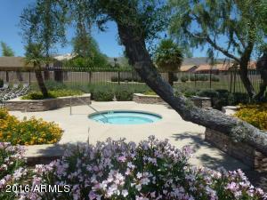 3157 E Verbena Dr, Phoenix, AZ 85048 photo 38