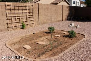 10322 E Jan Ave, Mesa, AZ 85209 photo 29