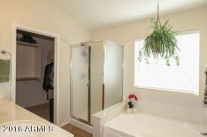 10322 E Jan Ave, Mesa, AZ 85209 photo 17