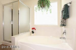 10322 E Jan Ave, Mesa, AZ 85209 photo 18