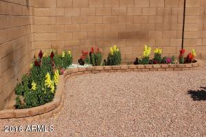10322 E Jan Ave, Mesa, AZ 85209 photo 27