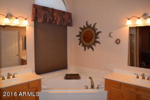 1363 E Oxford Ln, Gilbert, AZ 85295 photo 17