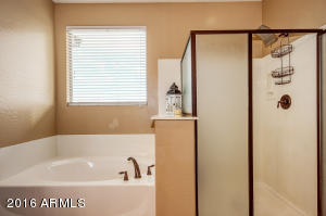 11039 E Quade Ave, Mesa, AZ 85212 photo 20
